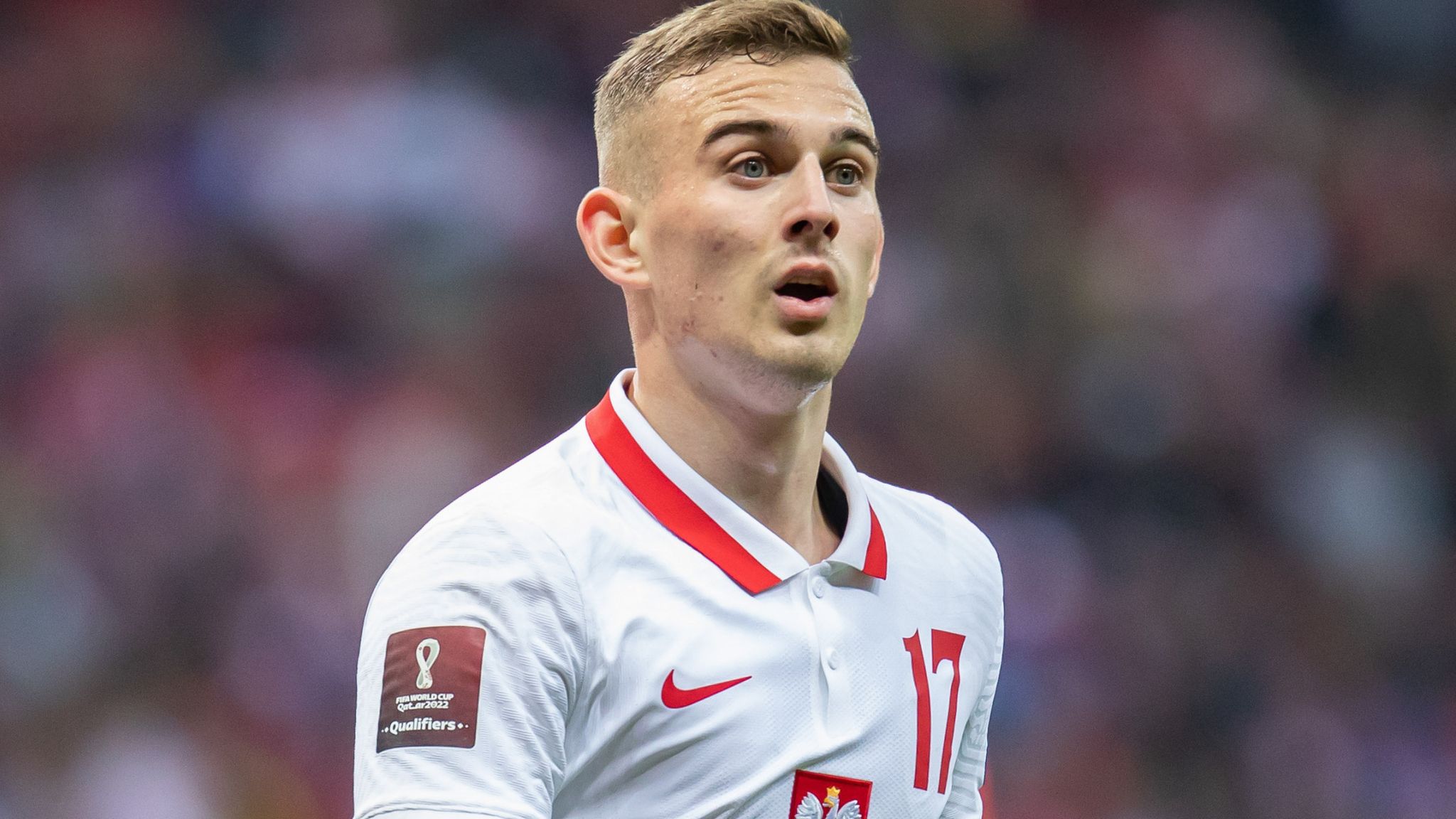 Deciphering Brighton's Transfer Strategy: A Deep Dive into their Summer Targets